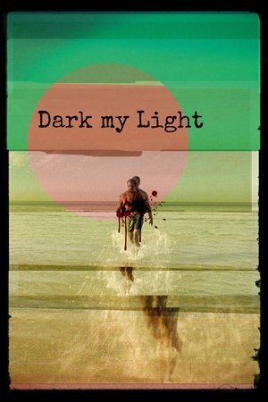 Dark My Light (2025) WEBRIP Hindi (MULTI AUDIO) 720p – 480p – 1080p