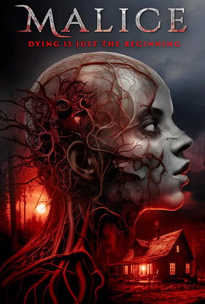 Malice (2025) WEBRIP Hindi (MULTI AUDIO) 720p – 480p – 1080p