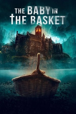 The Baby in the Basket (2025) WEBRIP Hindi (MULTI AUDIO) 720p – 480p – 1080p