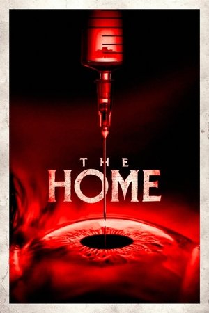The Home (2025) WEBRIP Hindi (MULTI AUDIO) 720p – 480p – 1080p