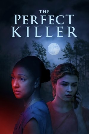 The Perfect Killer (2025) WEBRIP Hindi (MULTI AUDIO) 720p – 480p – 1080p